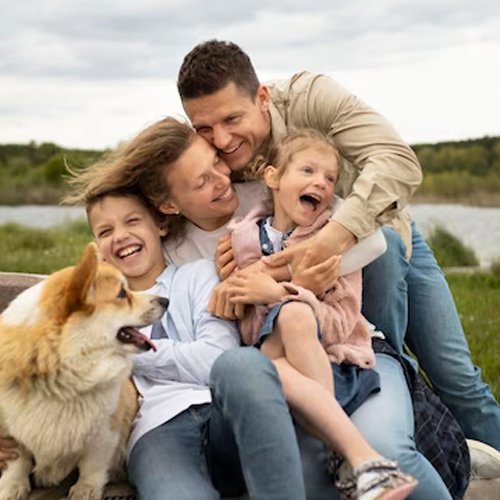 Family Problem Solution guidance